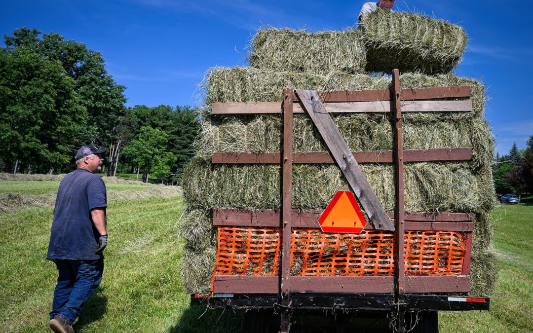 A Little Farm Help