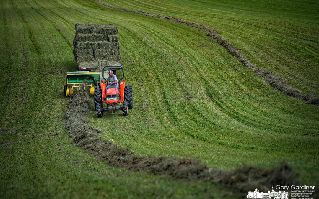 Second Cut at Yarnells