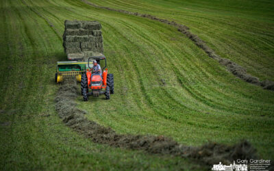Second Cut at Yarnells