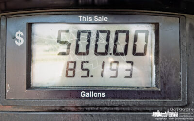 Fuel Cost Shock