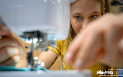 Sustainable Seamstress