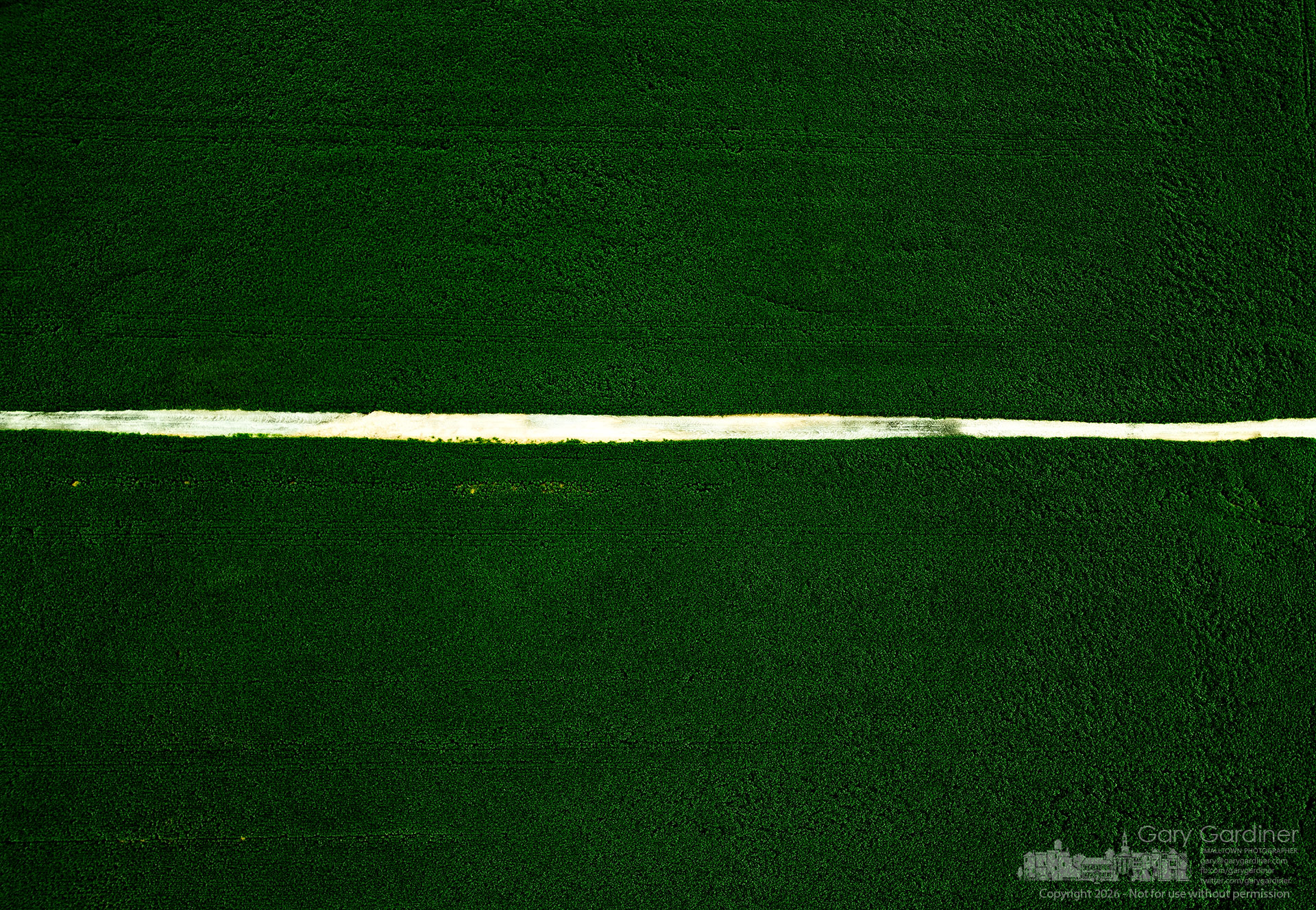 A gravel road through the Yarnell Farm divides a field of soybeans growing thick and full in a mid-summer of hot weather and ample rain. (My Final Photo for August 10, 2026. Photo by Gary Gardiner)