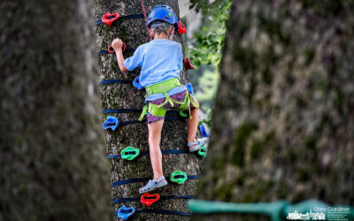 Arborist Training At Arbor Fest