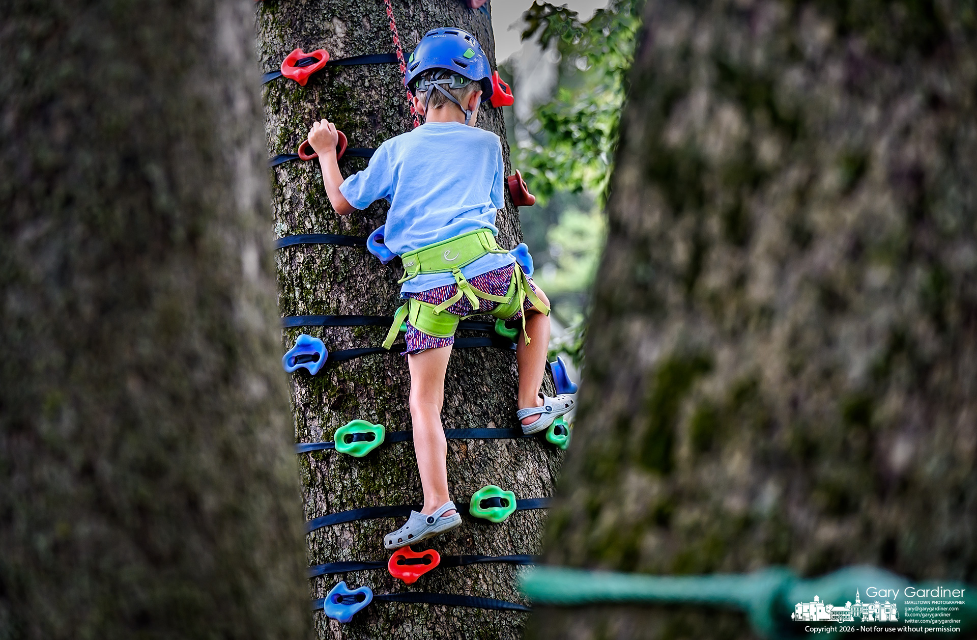 Attached to a safety rope, a young climber works his way down from a tree strapped with holds during Saturday's Arbor Fest at Alum Creek Park North. (My Final Photo for September 17, 2026. Photo by Gary Gardiner)