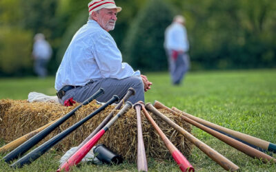 Base Ball Bench And Bats