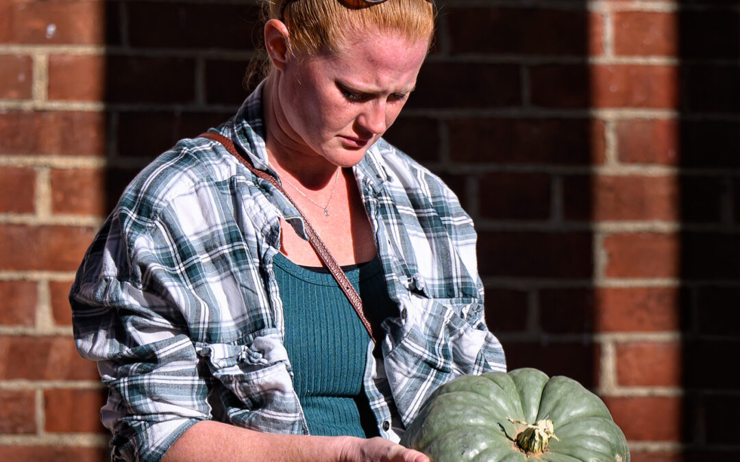 Picking the Perfect Pumpkin