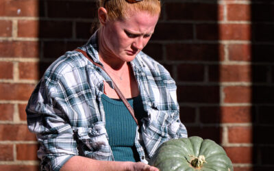 Picking the Perfect Pumpkin