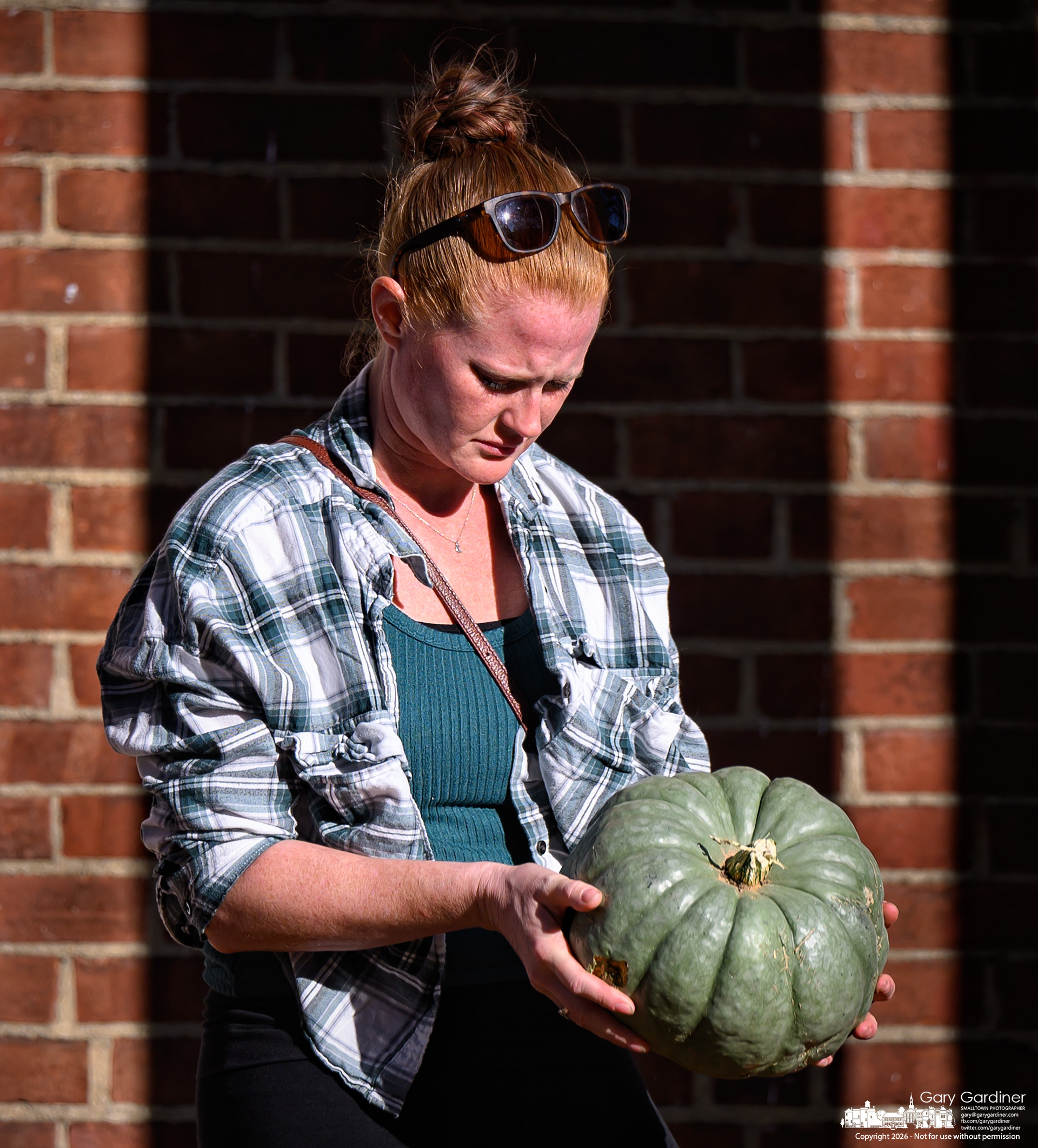 A pumpkin hunter studies one possible choice from the 2,200 pumpkins for sale on the front lawn of the Masonic Hall in Uptown Westerville. (My Final Photo for September 28, 2026. Photo by Gary Gardiner)