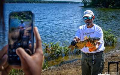 Catfish Catching