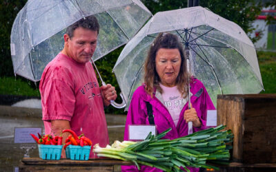 Vegetable Shopping In The Rain