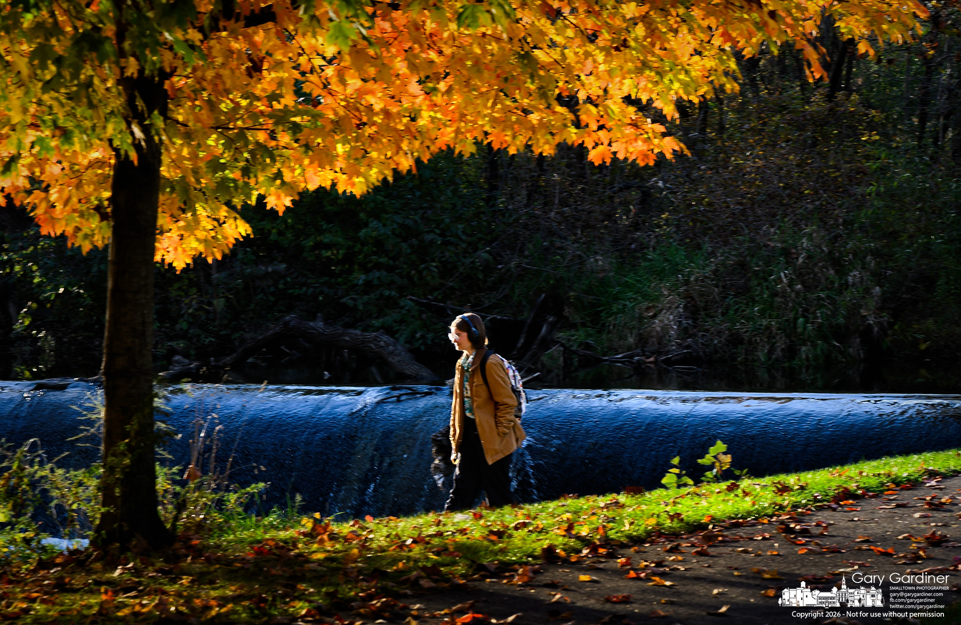 A woman sits on the grass beside the Alum Creek Park North dam, where the afternoon sun highlights the golden fall leaves on a maple tree. (My Final Photo for October 26, 2026. Photo by Gary Gardiner)