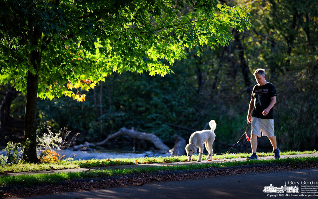 Walk In The Sun