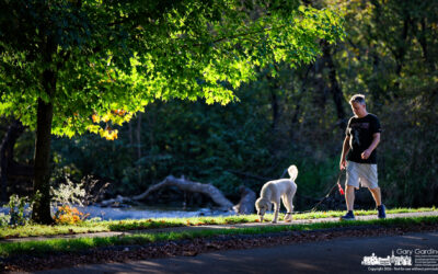 Walk In The Sun