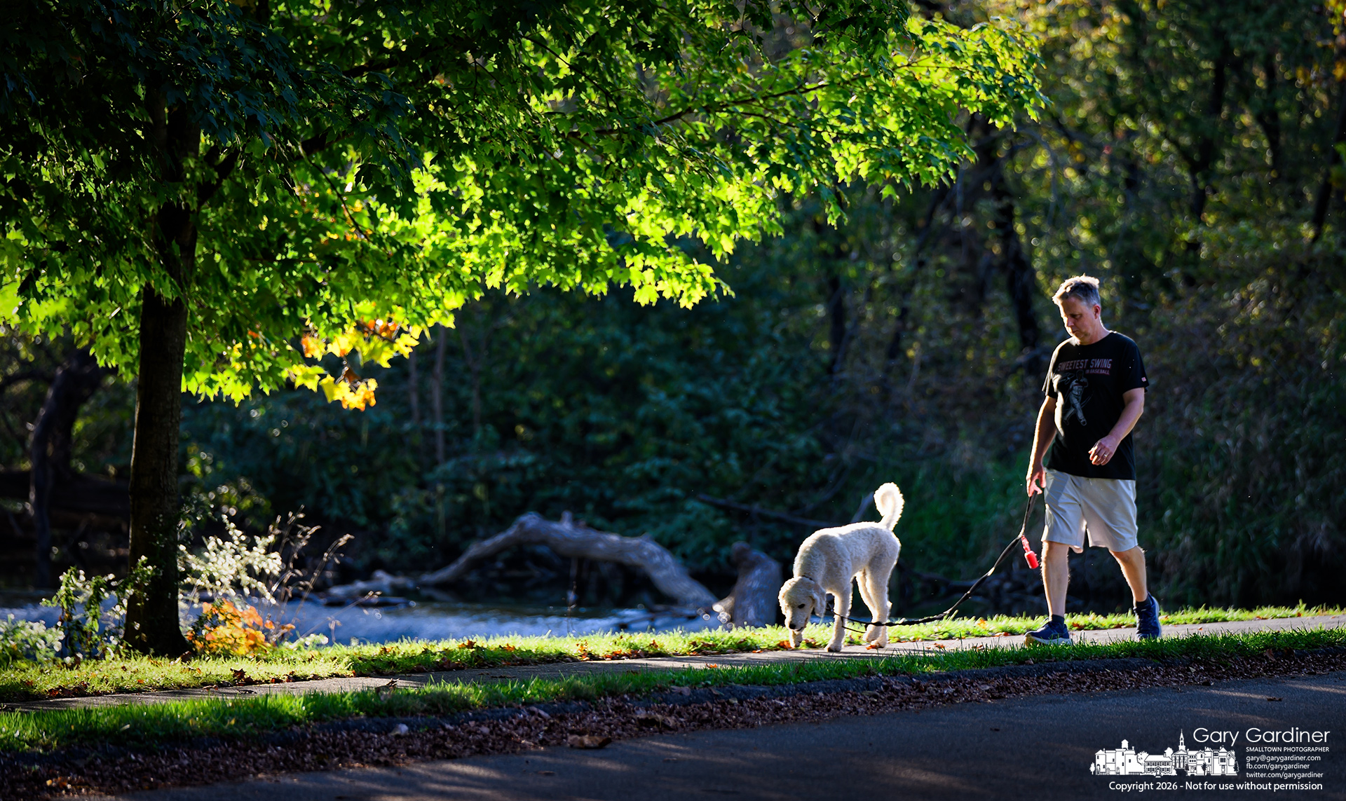 Man and dog walk through late afternoon sun at the dam at Alum Cfreek park North (My Final Photo for October 12, 2026. Photo by Gary Gardiner)
