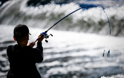 Bright Day To Fish