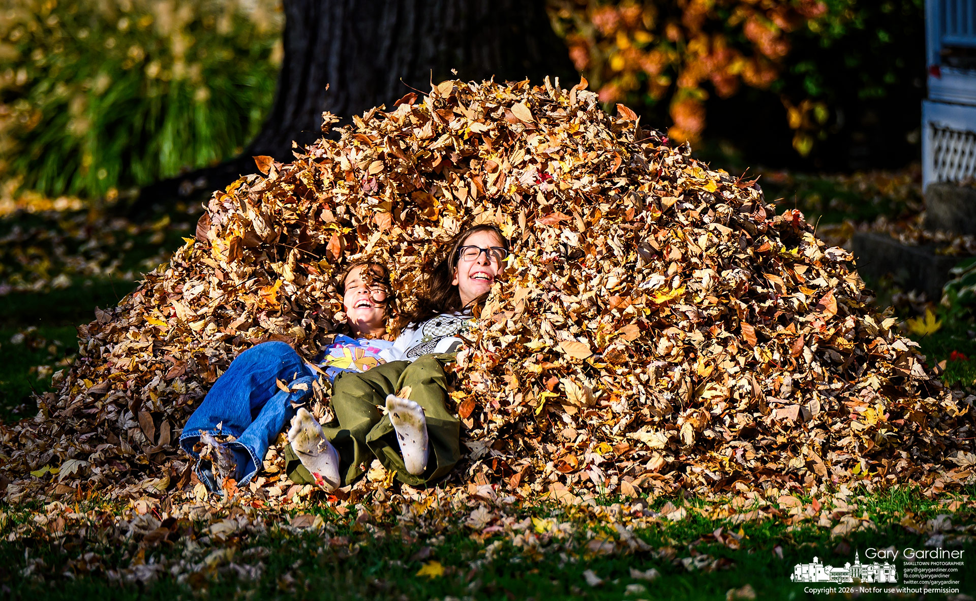 Sisters tumble backward into a pile of leaves raked by their father in their front yard in Uptown Westerville. (My Final Photo for October 27, 2026. Photo by Gary Gardiner)
