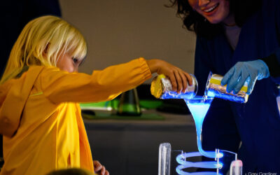 Chemical Reaction Reaction