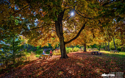 Red Bank’s Fall Splendor