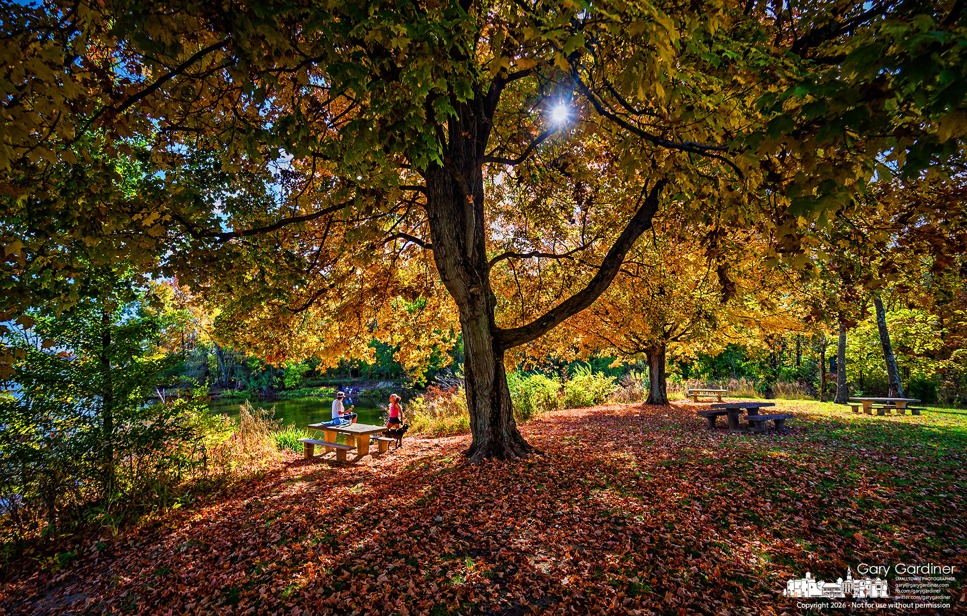 The late afternoon sun shines through the fall colors of trees along the small lagoon at Red Bank Park on Hoover Reservoir. (My Final Photo for October 25, 2026. Photo by Gary Gardiner)