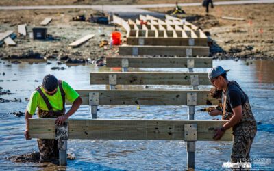 Bridge Over Troubled Waters