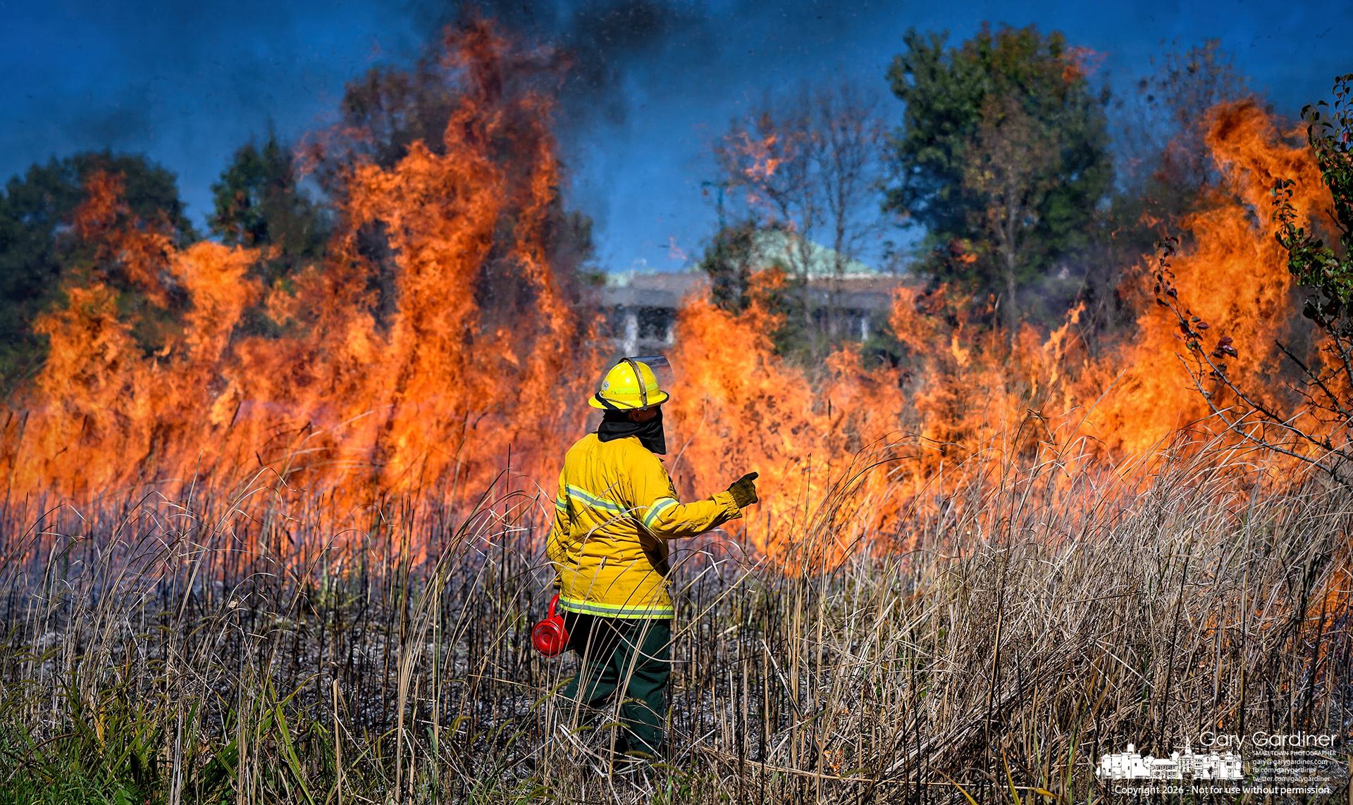 Flames rise from dried cattail stalks after they were intentionally burned to clear the Alkyre Run creekbed behind the community center, where the land is being returned to its wetland status. (My Final Photo for October 8, 2026. Photo by Gary Gardiner)