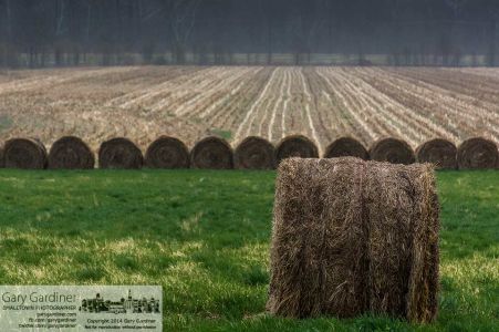 Hay bales left over from last season's final harvest sit in the freshly green hills at Braun Farm in Westerville. My Final Photo for April 14, 2014. Hay bales left over from last season's final harvest sit in the freshly green hills at Braun Farm in Westerville. My Final Photo for April 14, 2014.