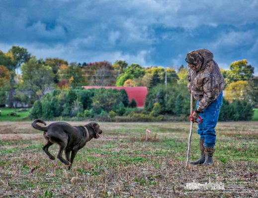 Paul Craddock and his dog take an afternoon walk across the fields at the Braun Farm as Craddock searches for flint and arrowheads. My Final Photo for Oct. 24, 2017. Paul Craddock and his dog take an afternoon walk across the fields at the Braun Farm as Craddock searches for flint and arrowheads. My Final Photo for Oct. 24, 2017.