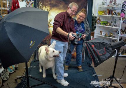 “Spirit” looks toward the camera as his owner and dog photographer David Brown scan through the photos taken of him during the Pics for Paws photo sessions at Captivating Canines in Uptown Westerville. My Final Photo for Oct. 28, 2017. “Spirit” looks toward the camera as his owner and dog photographer David Brown scan through the photos taken of him during the Pics for Paws photo sessions at Captivating Canines in Uptown Westerville. My Final Photo for Oct. 28, 2017.