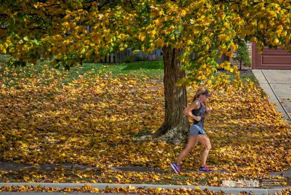 A runner travels under a maple tree beginning to shed its leaves despite the warmer weather than normal for early October. My Final Photo for Oct. 7, 2017. A runner travels under a maple tree beginning to shed its leaves despite the warmer weather than normal for early October. My Final Photo for Oct. 7, 2017.