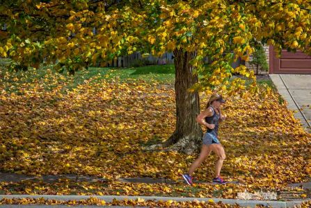 A runner travels under a maple tree beginning to shed its leaves despite the warmer weather than normal for early October. My Final Photo for Oct. 7, 2017. A runner travels under a maple tree beginning to shed its leaves despite the warmer weather than normal for early October. My Final Photo for Oct. 7, 2017.
