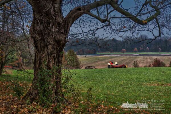 The maple tree near the farmhouse on the Braun Farm sits nearly barren of leaves after a series of cold and windy days reinforced the feel of autumn. My Final Photo for Nov. 13, 2017. The maple tree near the farmhouse on the Braun Farm sits nearly barren of leaves after a series of cold and windy days reinforced the feel of autumn. My Final Photo for Nov. 13, 2017.