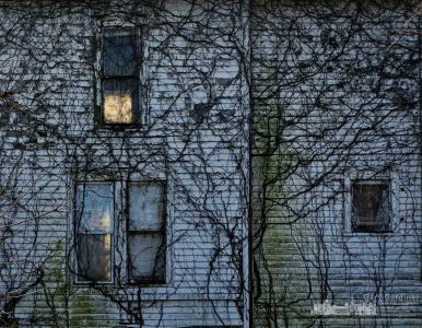 Sunlight illuminates a window on the south side of the Braun Farm farmhouse where the house is usually obscured in shadow from the large maple tree. My Final Photo for Nov. 20, 2017. Sunlight illuminates a window on the south side of the Braun Farm farmhouse where the house is usually obscured in shadow from the large maple tree. My Final Photo for Nov. 20, 2017.