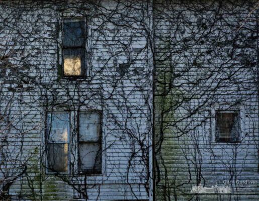 Sunlight illuminates a window on the south side of the Braun Farm farmhouse where the house is usually obscured in shadow from the large maple tree. My Final Photo for Nov. 20, 2017. Sunlight illuminates a window on the south side of the Braun Farm farmhouse where the house is usually obscured in shadow from the large maple tree. My Final Photo for Nov. 20, 2017.