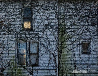 Sunlight illuminates a window on the south side of the Braun Farm farmhouse where the house is usually obscured in shadow from the large maple tree. My Final Photo for Nov. 20, 2017. Sunlight illuminates a window on the south side of the Braun Farm farmhouse where the house is usually obscured in shadow from the large maple tree. My Final Photo for Nov. 20, 2017.