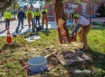 City workers install the Christmas tree in the renovated courtyard in front of city hall. My Final Photo for Nov. 27, 2017. City workers install the Christmas tree in the renovated courtyard in front of city hall. My Final Photo for Nov. 27, 2017.