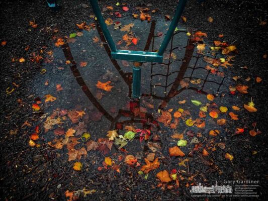 Fallen leaves ring the puddle that formed around one of the playground sets in Planet Westerville after a weekend of rain and wind. My Final Photo for Nov. 19, 2017. Fallen leaves ring the puddle that formed around one of the playground sets in Planet Westerville after a weekend of rain and wind. My Final Photo for Nov. 19, 2017.