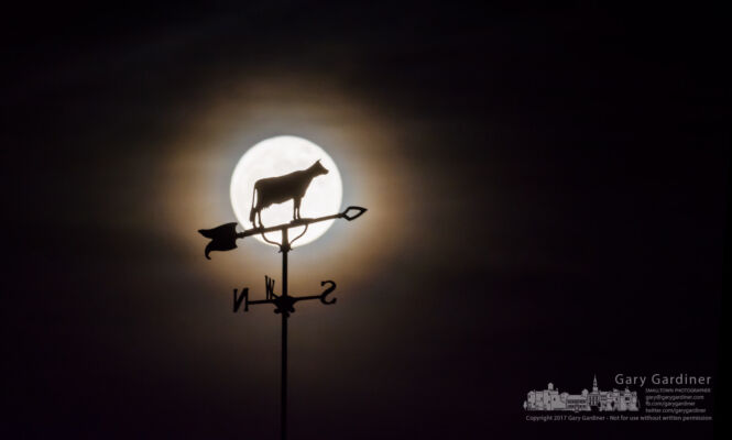 The bovine weather vane at the top of US Bank building in Uptown Westerville is silhouetted against the full moon shining through a thin cloud layer Sunday night. My Final Photo for Dec. 3, 2017. The bovine weather vane at the top of US Bank building in Uptown Westerville is silhouetted against the full moon shining through a thin cloud layer Sunday night. My Final Photo for Dec. 3, 2017.